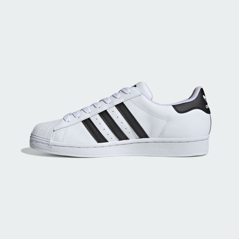 Championes-Superstar---2
