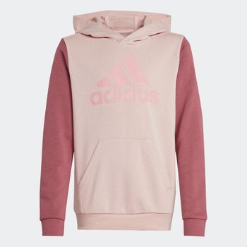Canguro Essentials Big Logo Colorblock