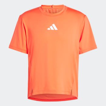 Remera Adapt Workout