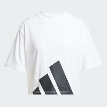 Remera Essentials Big Logo Boyfriend